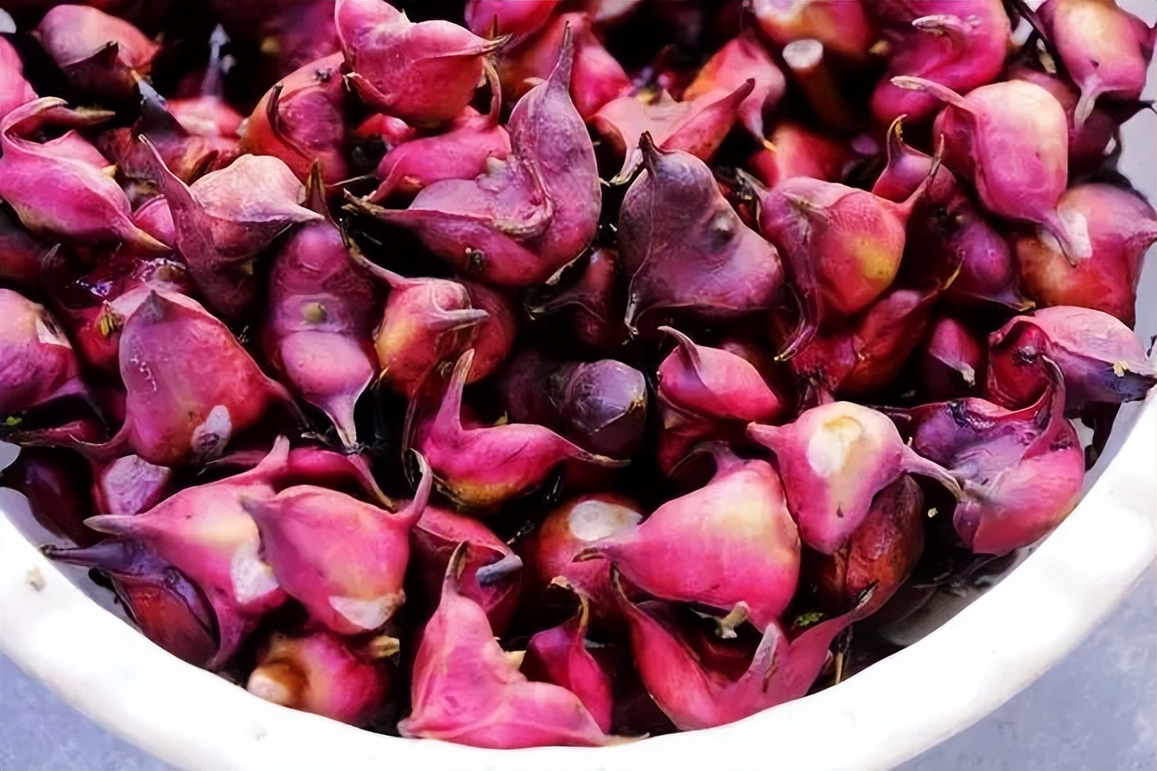 太湖水红菱江苏扬州江都区的邵伯菱(四角),皮薄绿白色,本名"羊角倾"