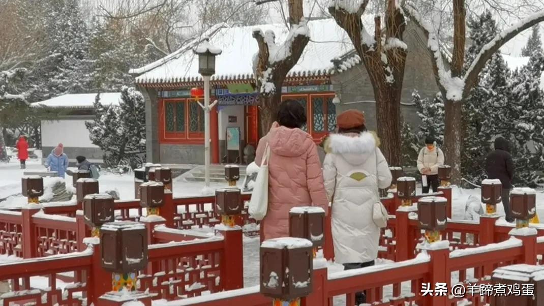 难览观园全画景雪覆腊梅一隅香——踏雪寻游北京大观园