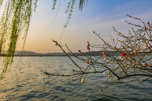 山青花欲燃，这个春天，醉倒在唯美的古诗词里