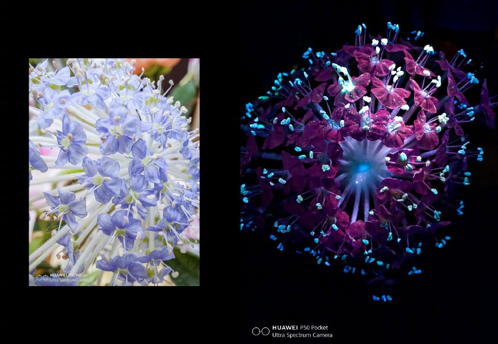 美丽不止一面，P50 Pocket天青、云锦新色链接古典与科技