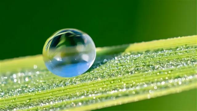 杯中的水为什么没有飘洒出来，是不是附着在帮忙？