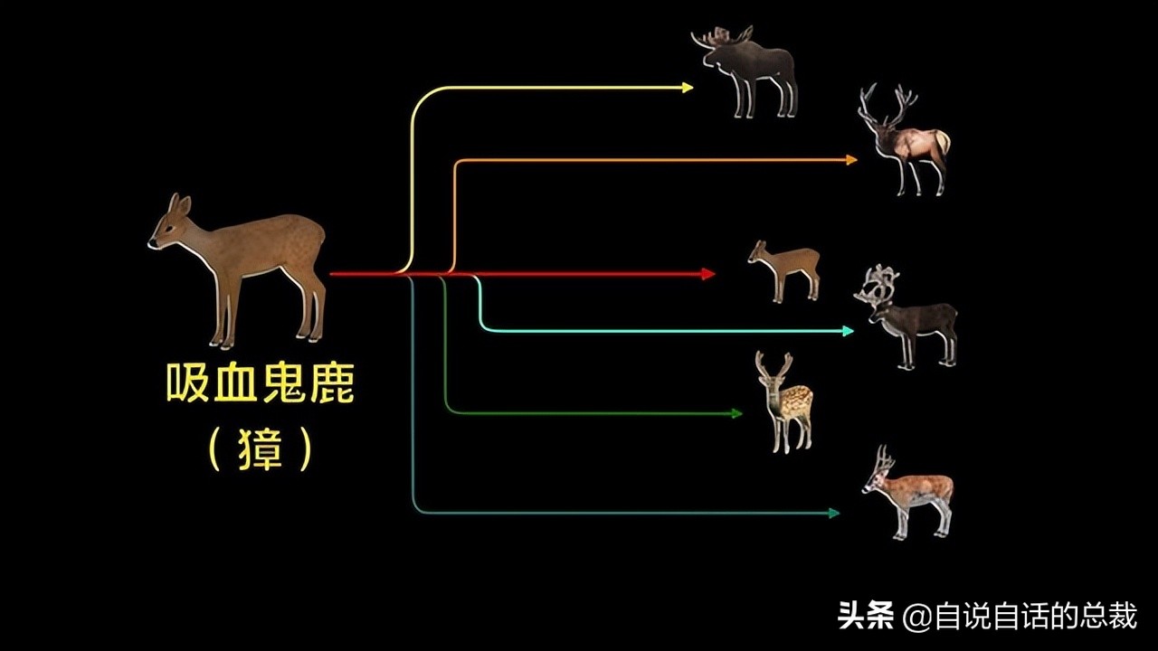 超级血液，器官再生、百毒不侵，这是人们认为它是仙兽真正的原因