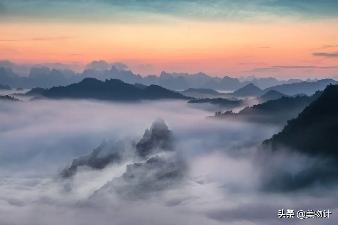 你在哪月出生，就是哪杯好茶