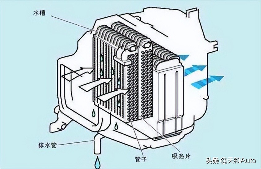汽车空调系统中的蒸发器会被制冷器吸热,温度相当低,鼓风机吹进来的