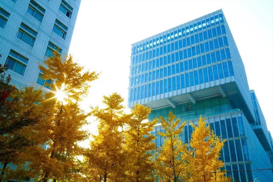 北京教授主持科技部项目子课题，助力城市高温灾害预警！