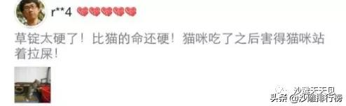 「搞笑内涵段子」不拉腿的大长腿模特真的难得