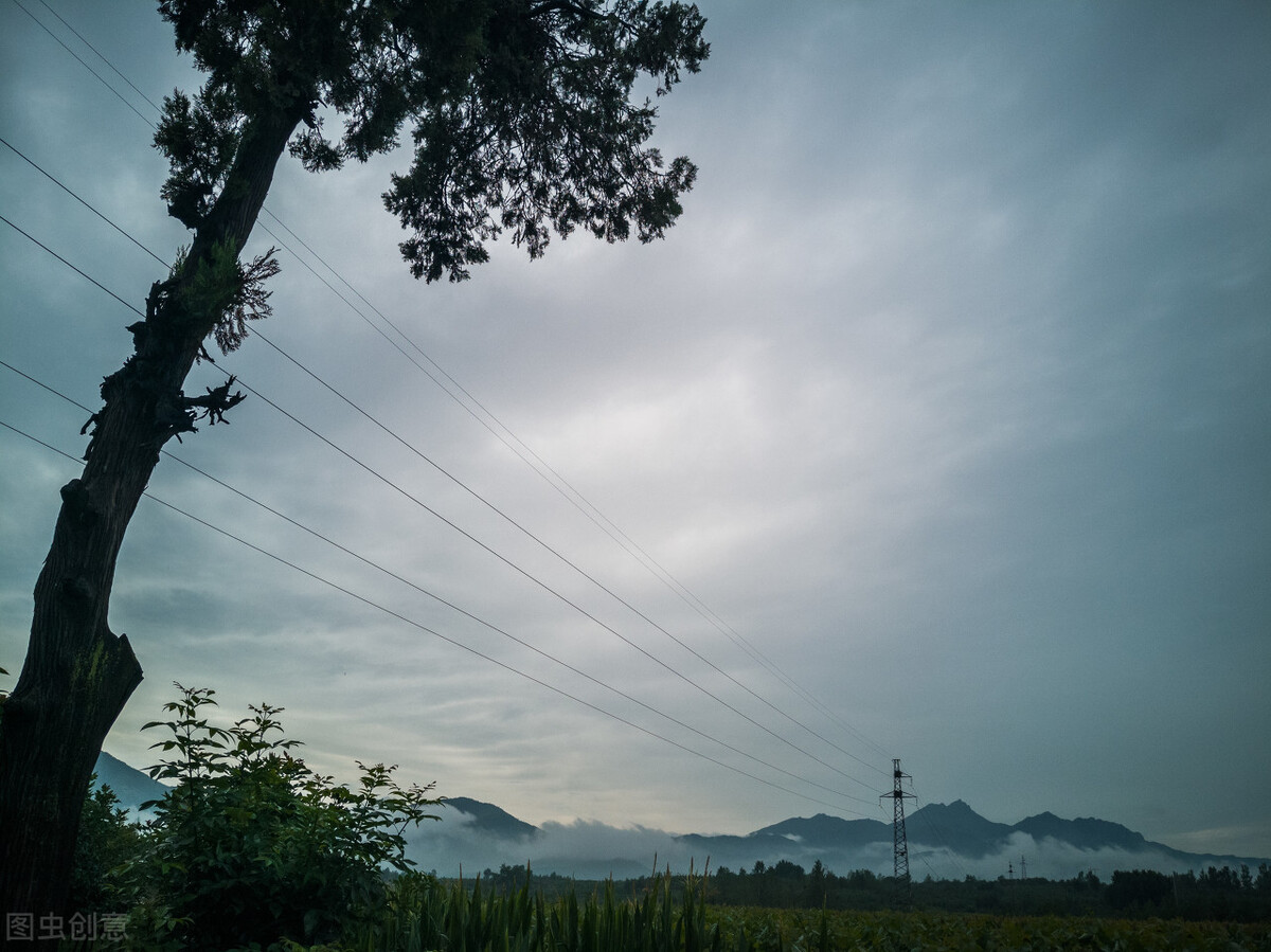 有内涵酒醉伤感的句子(40句酒后感悟人生的唯美诗句)