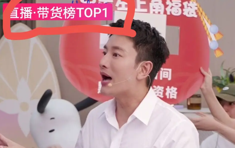 贾乃亮公司牵涉偷逃税事件，这次真没必要揪着不放