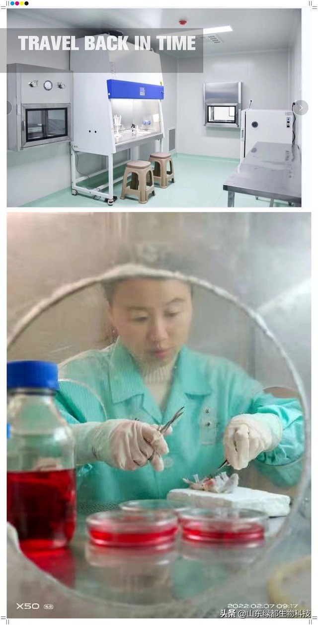 山东绿都武玉香博士创新团队研究的鉴别地沟油论文在国际期刊发表