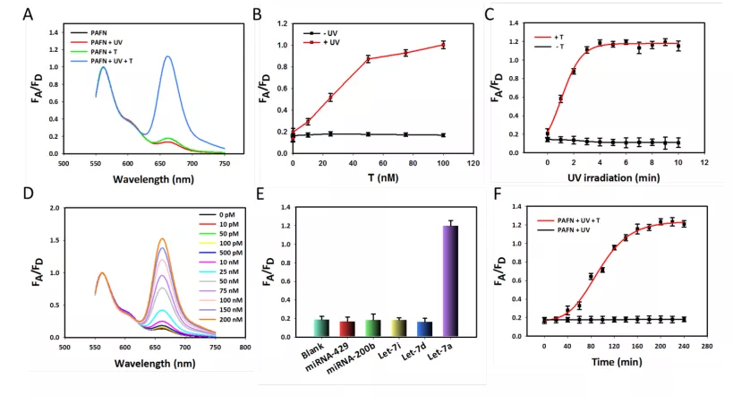 湖南大学研发新型DNA纳米机器,攻克靶标分子无法检测等难题