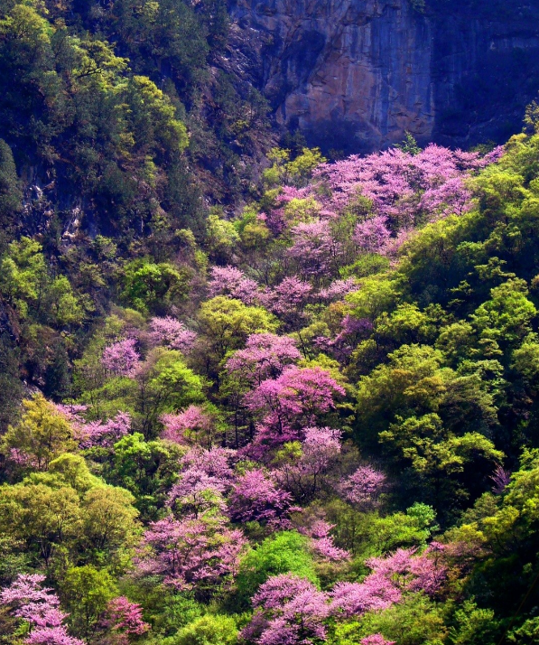 西安周边游｜春季必爬的10座山，1小时就能直达，你爬过几座？
