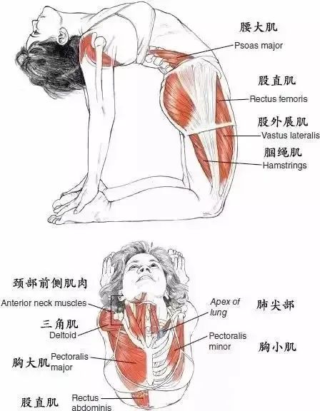 金晨暴瘦30斤吓坏网友； 身体撑不起西服； 网友惊呼：这是山寨的？