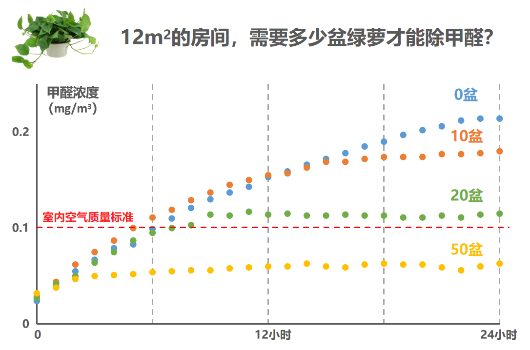 这些“甲醛知识”，99%都是假的！进来查看真相