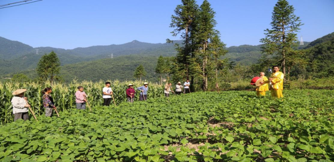 贊！漢中又一民間藝術(shù)獲批非遺名錄！
