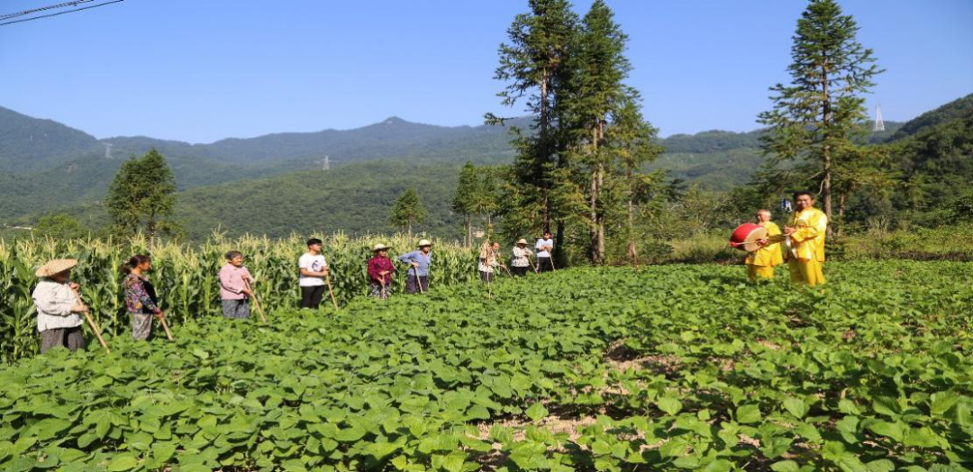 赞！汉中又一民间艺术获批非遗名录！