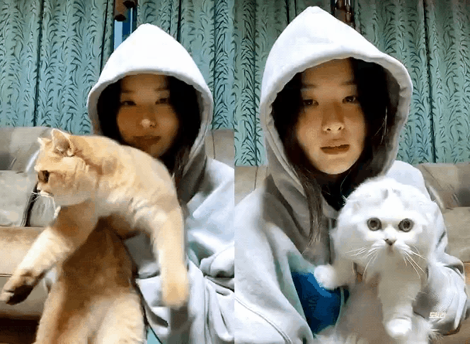 她没惹到任何人