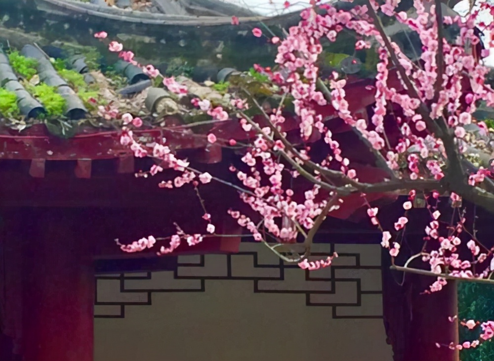 未入选《唐诗三百首》最著名的20首诗，其中有很多首你都能背下来