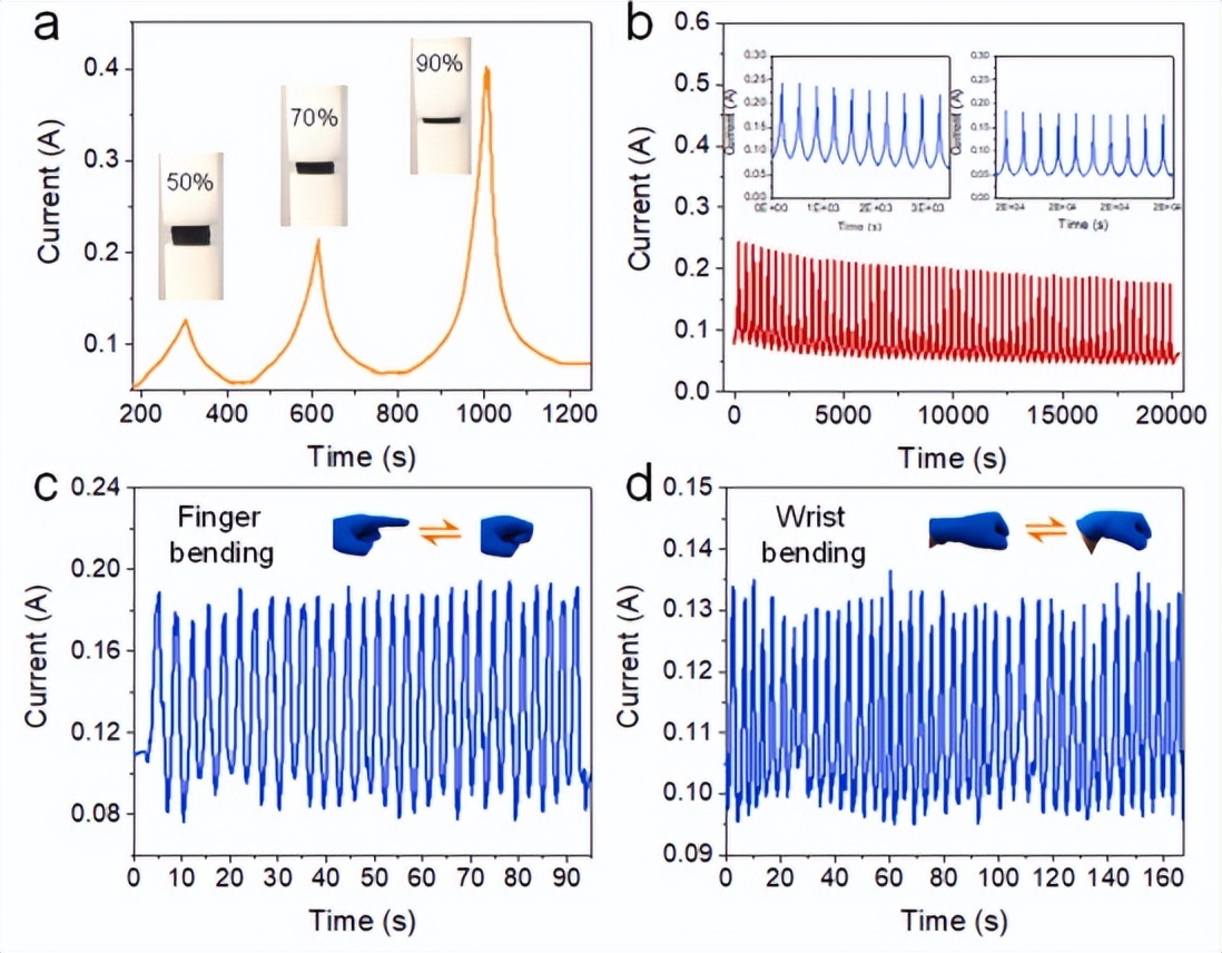 河北工业大学等超弹性石墨烯气凝胶研究取得进展