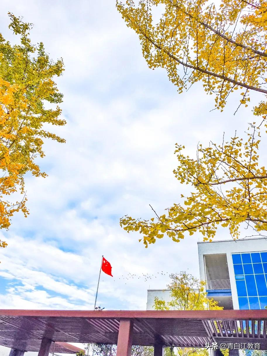 秋冬美图来袭① | 为你喜欢的校园美景投票吧