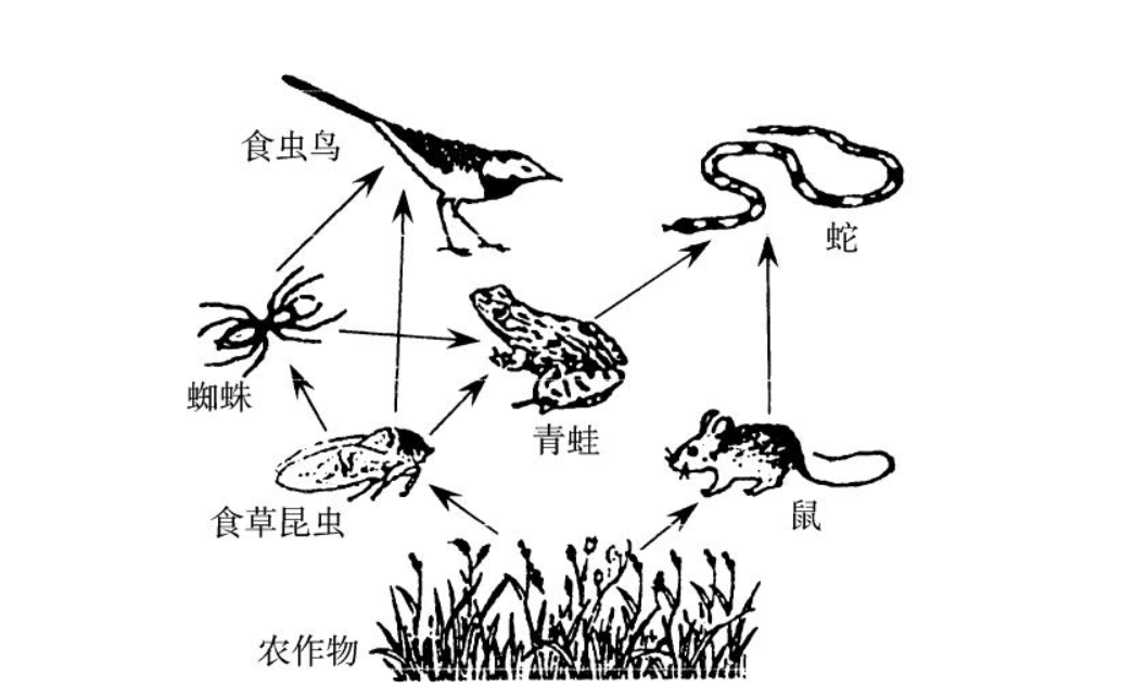 3.5�׳����ߴ������һ����ң��綾�۾����ߣ��������ܲ��ܴ�