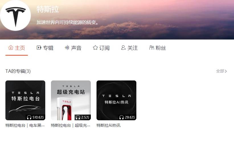 潮酷车主作客特斯拉品牌电台，上喜马拉雅分享车主见闻