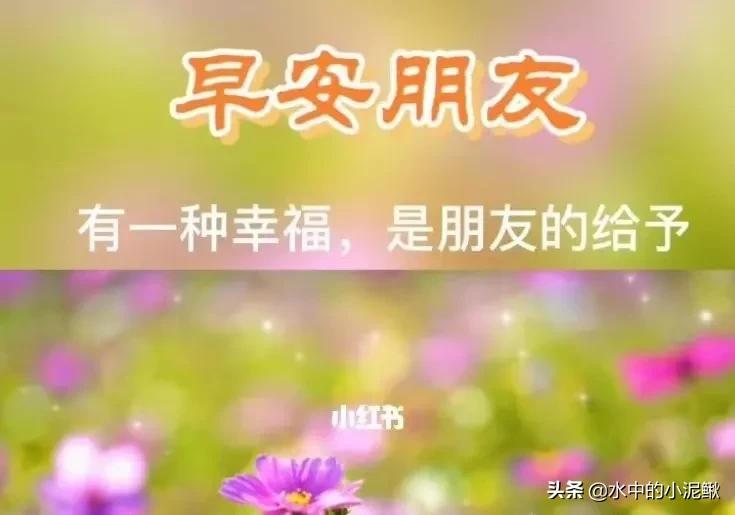 2022最新早安励志语录句子,微信早安正能量问候句子