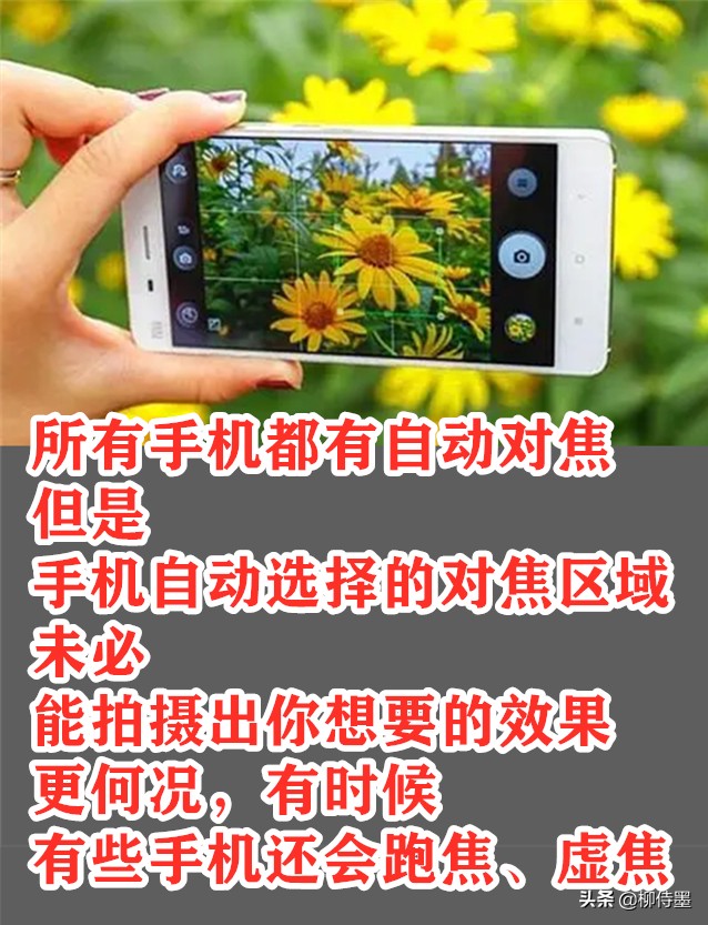 难怪照片不好看，这些拍照时的“坏习惯”，摄影新手经常犯