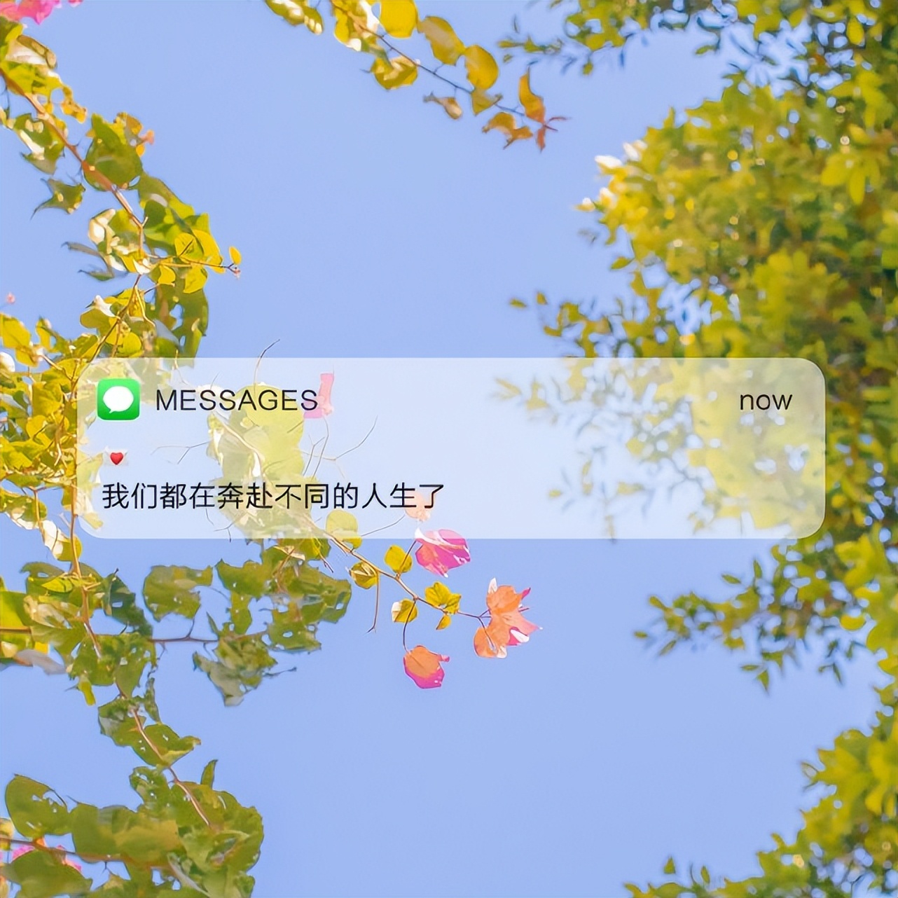 今日文案：岁月漫长，欢迎来访