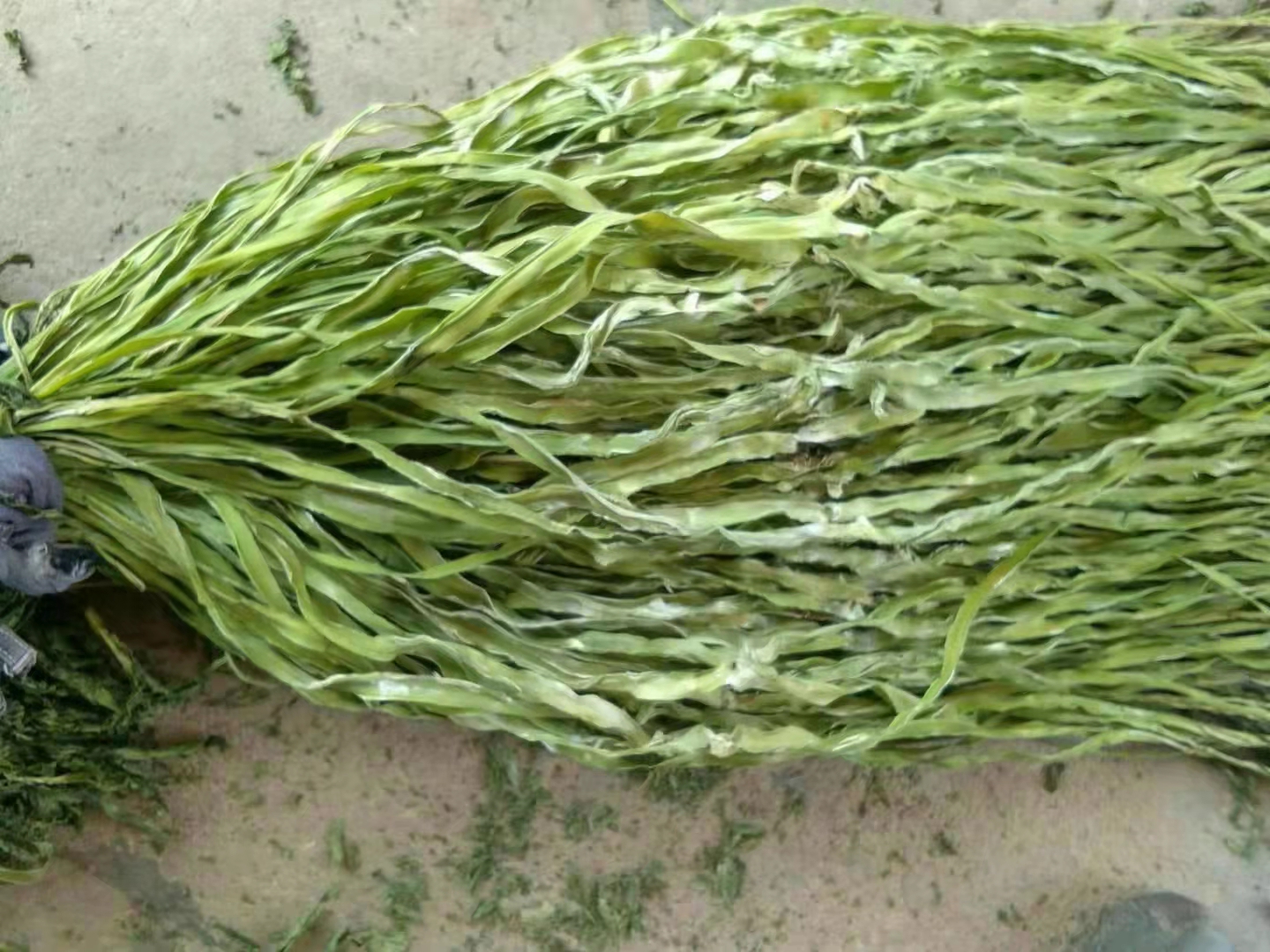 贡菜是什么菜做的 -生活知识库-动动脑