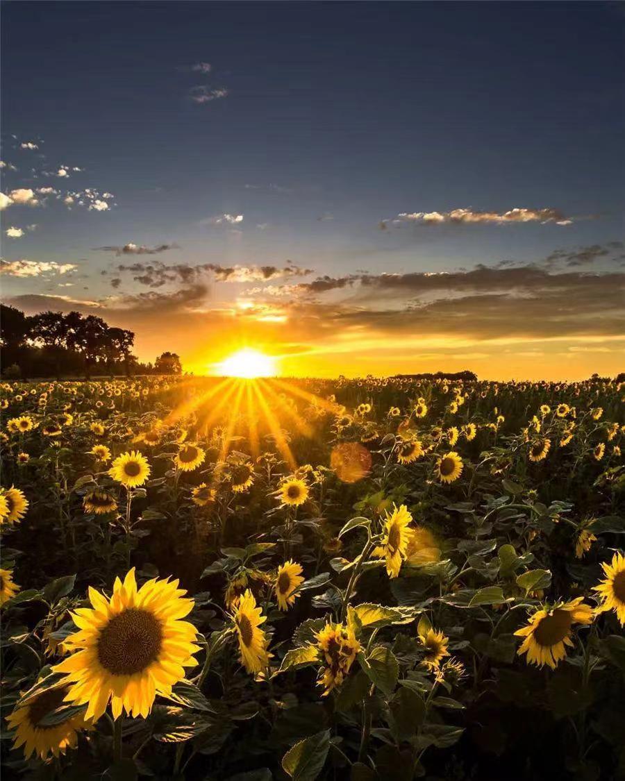 一眼万年什么意思 一眼万年下一句是什么-世界十大之最