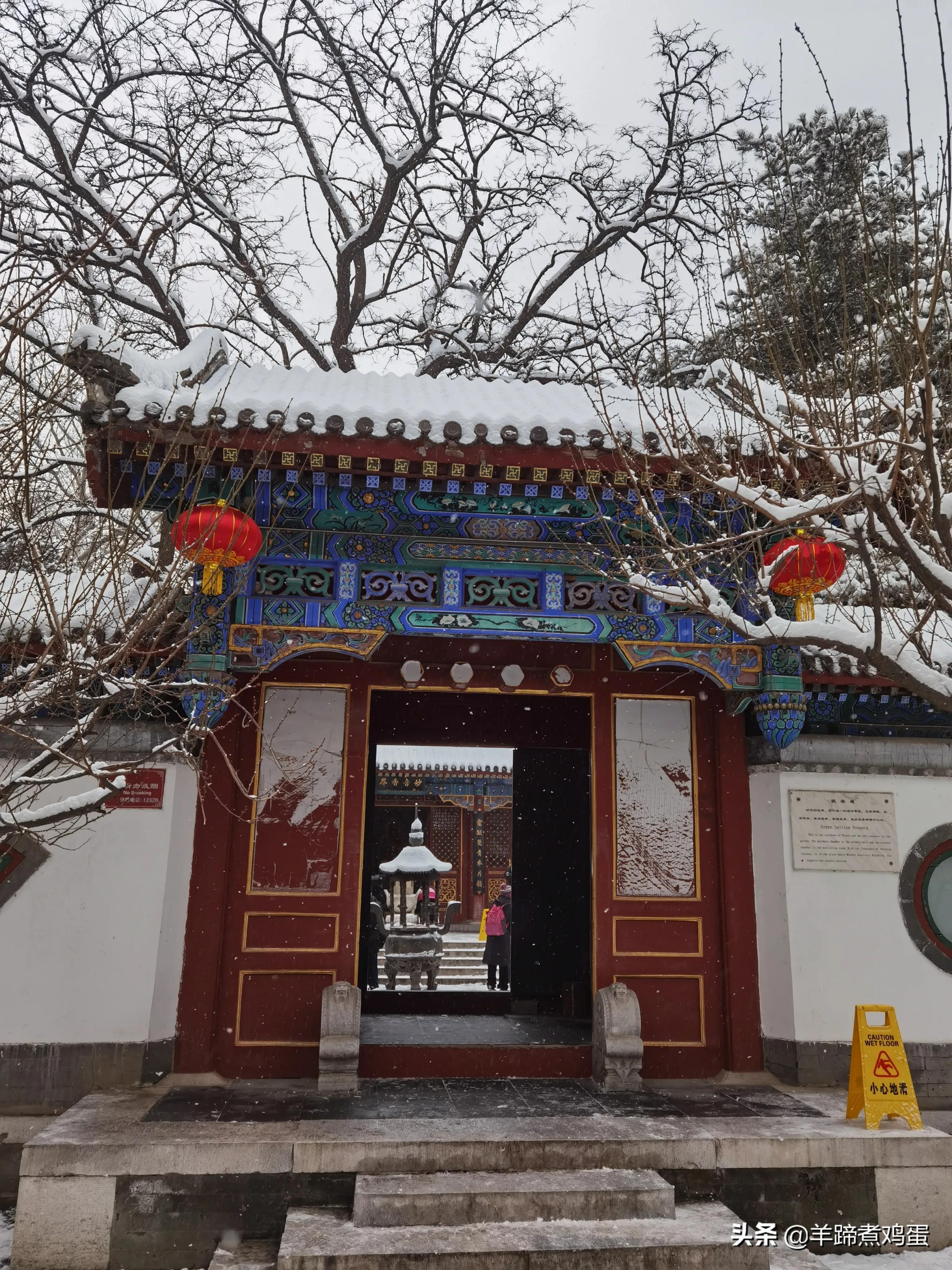 难览观园全画景雪覆腊梅一隅香——踏雪寻游北京大观园