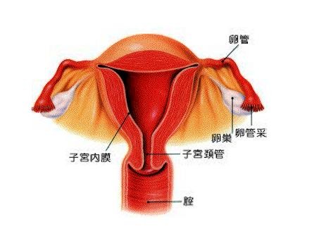 月经一般来几天才算正常？本文给出参考范围，看看你达标没？