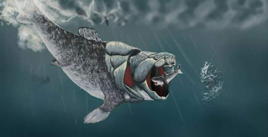 十大鲸鱼大小排名(海洋十大霸主排行榜,巨齿鲨仅排第二,第一名沧龙