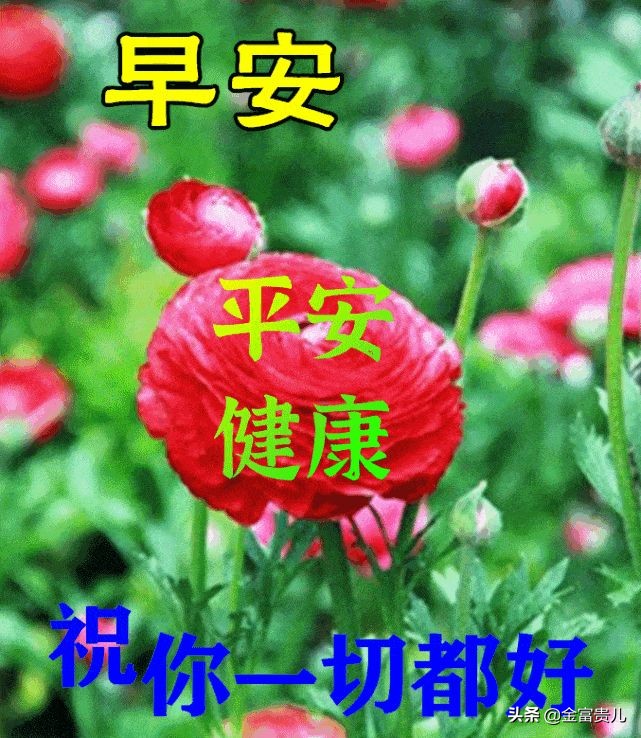 最新版早安动态图片 早上好祝福语句子