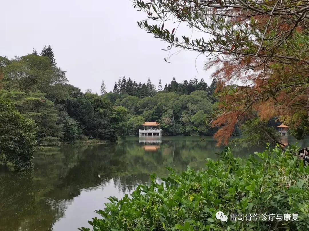 雷人雷语：思考本质再做医疗