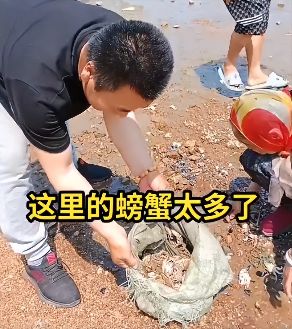 李玉成带85岁马玉琴赶海，捡死螃蟹回家做汤喝，网友：咋下嘴？