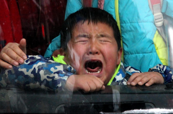 孩子在学校被欺负该“打回去”吗？父亲高情商反击，引家长称赞