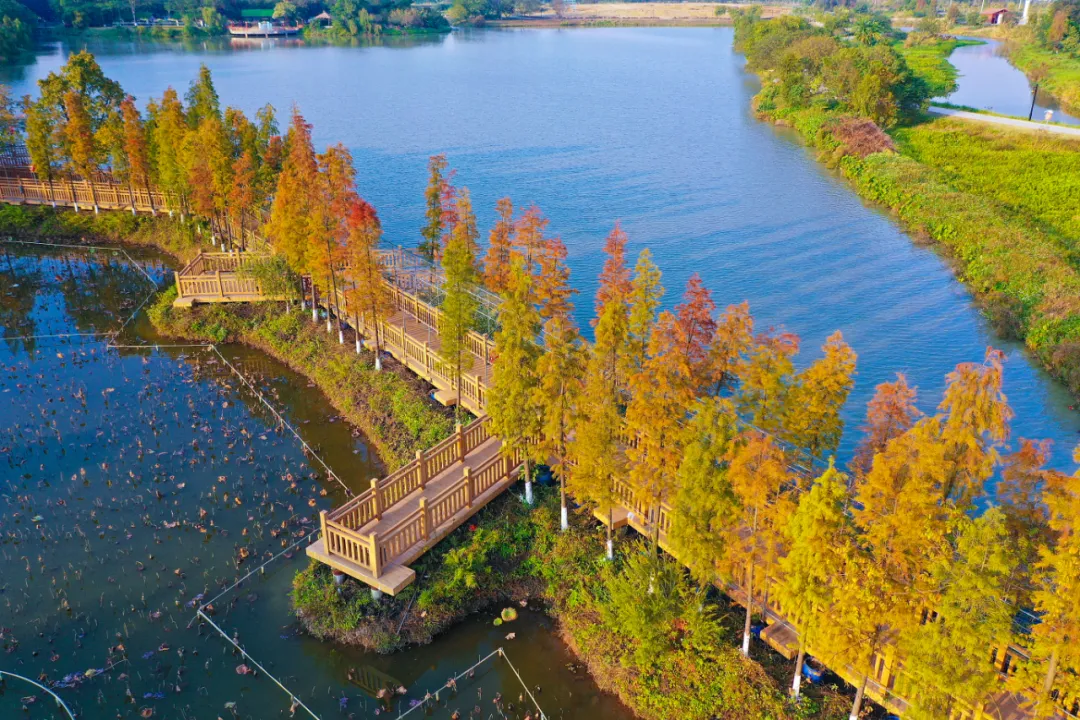 佛山哪里好玩景点推荐(今天才发现！原来佛山还有颜值那么高的公园，太美了)