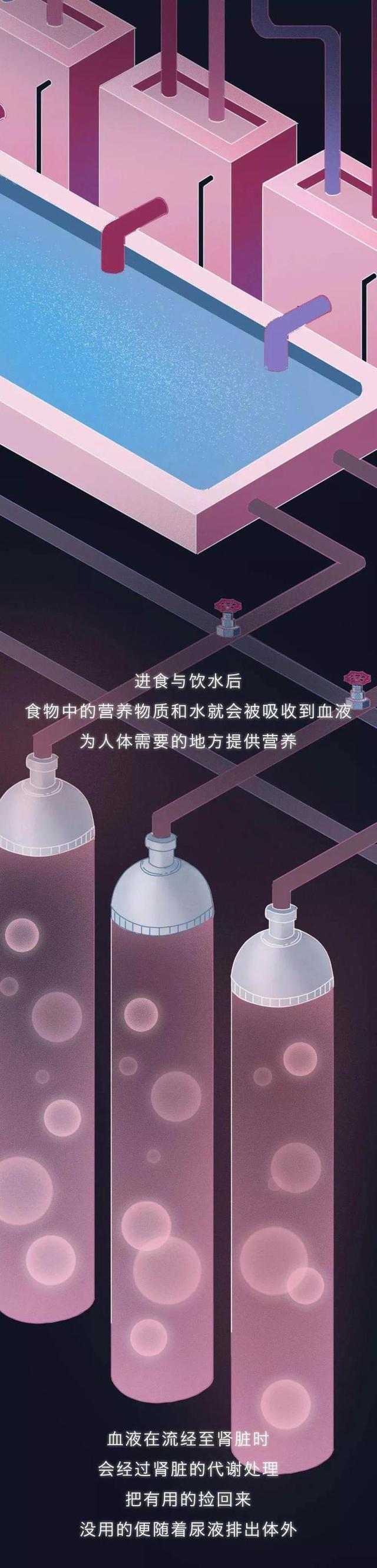 肾是如何被“掏空”的？一组漫画揭晓全程（替好友来看看）