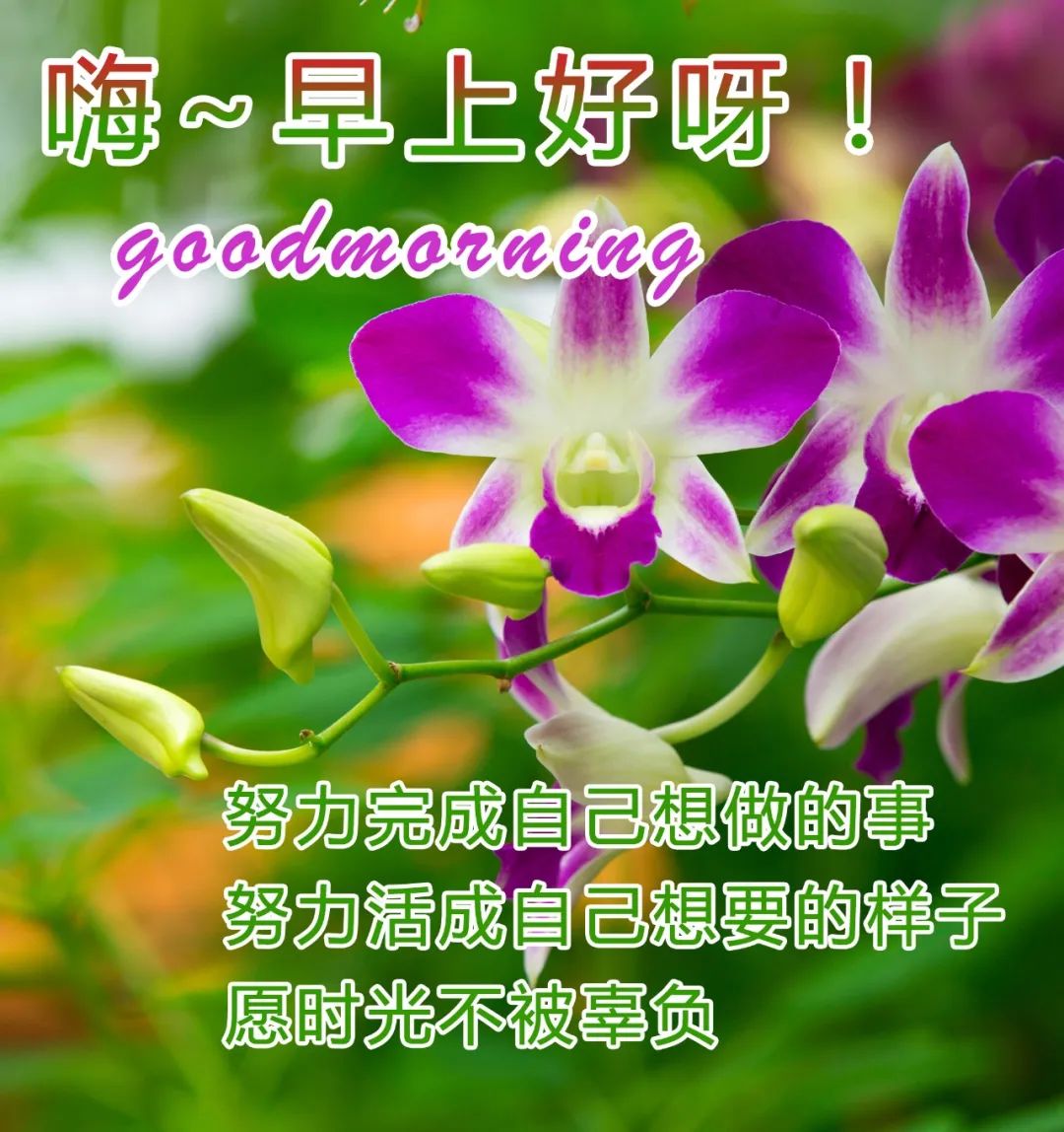 每天一句温馨的问候语图片 早晨问候早上好的暖心图片