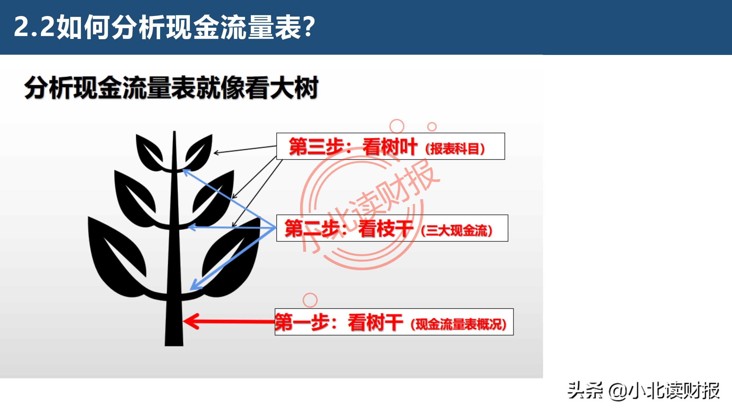现金流量表分析,现金流量表分析的要点