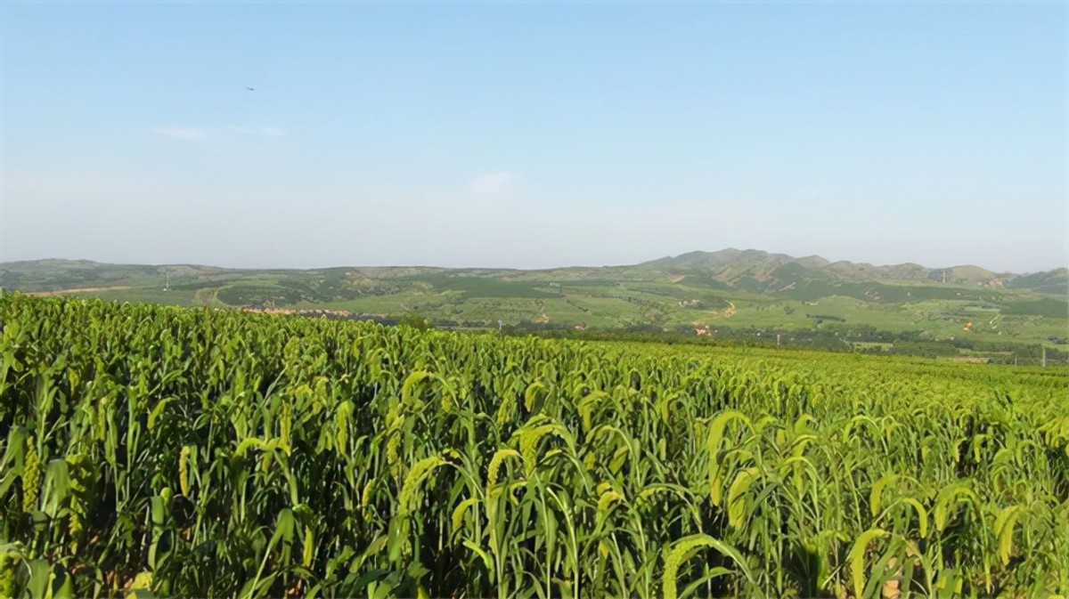 女博士江宇虹，放弃高管当农夫，年收入破亿！世界500强找她合作