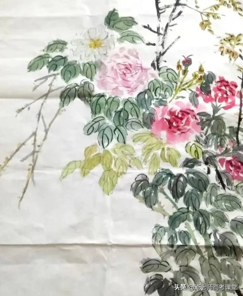 湘大全能女孩何逸初，才貌双全气质佳，发表SCI论文，保研清华