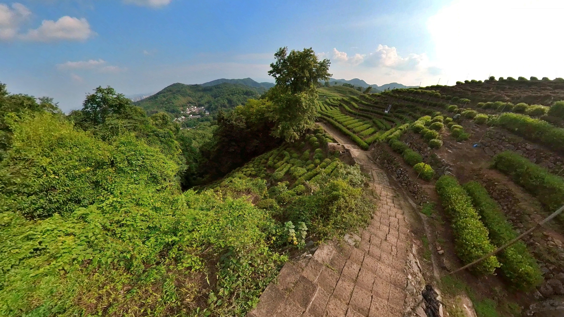 在杭州爬哪座山最好(杭州南高峰:西湖群山的集大成者,一路古幽)