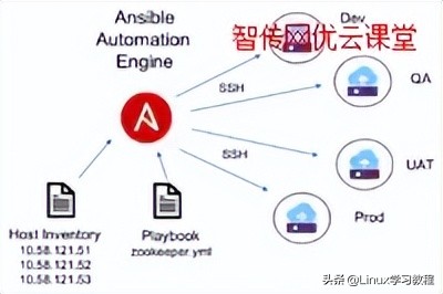 一个人管理1000台服务器？这款自动化运维工具一定要掌握