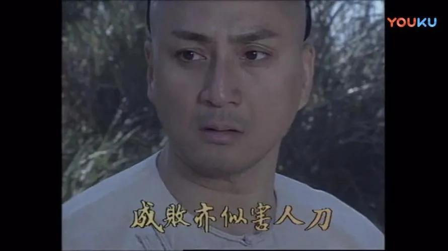 港剧经典《君临天下之康熙九子》江华版