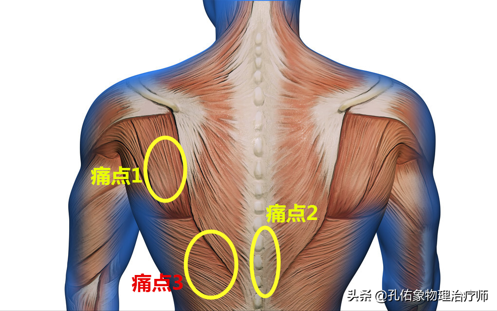 肩胛骨酸胀是什么原因图片