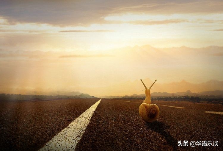 虽然我写词不专业，但偶尔为之却足够惊艳！周杰伦黄家驹都是