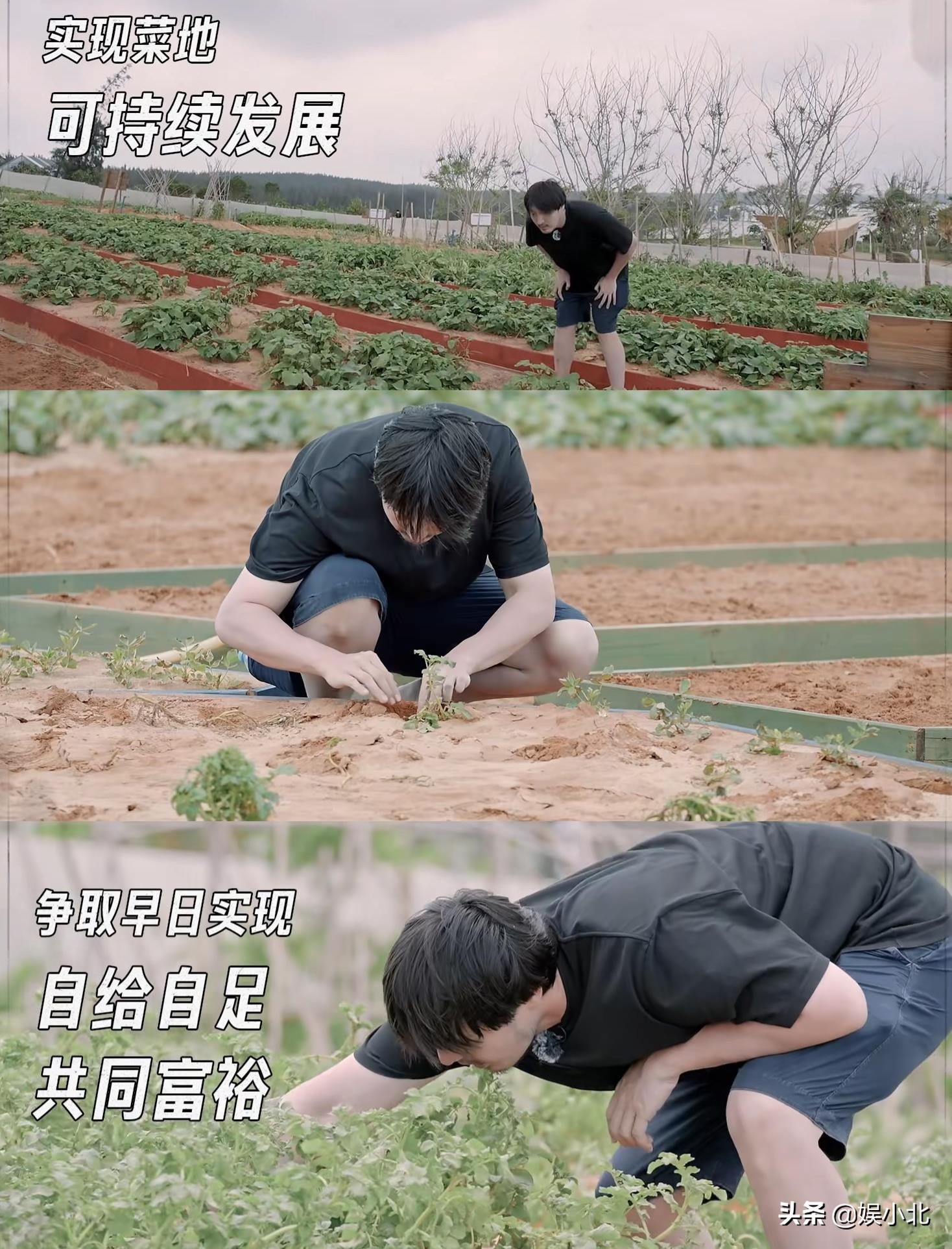 宋丹丹离开后，才读懂李雪琴：真正的精神内耗不是卷，而是假社交