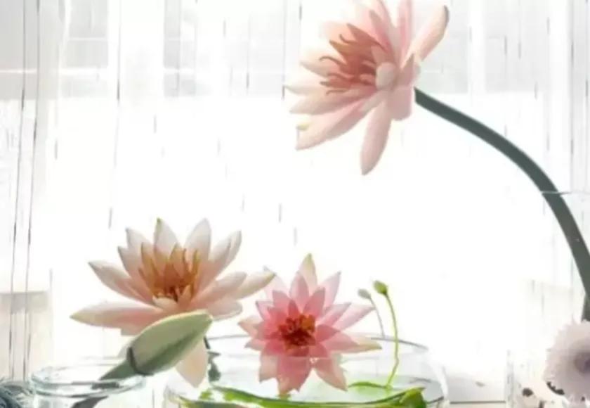 《增廣賢文》中有關(guān)處世態(tài)度的10句話